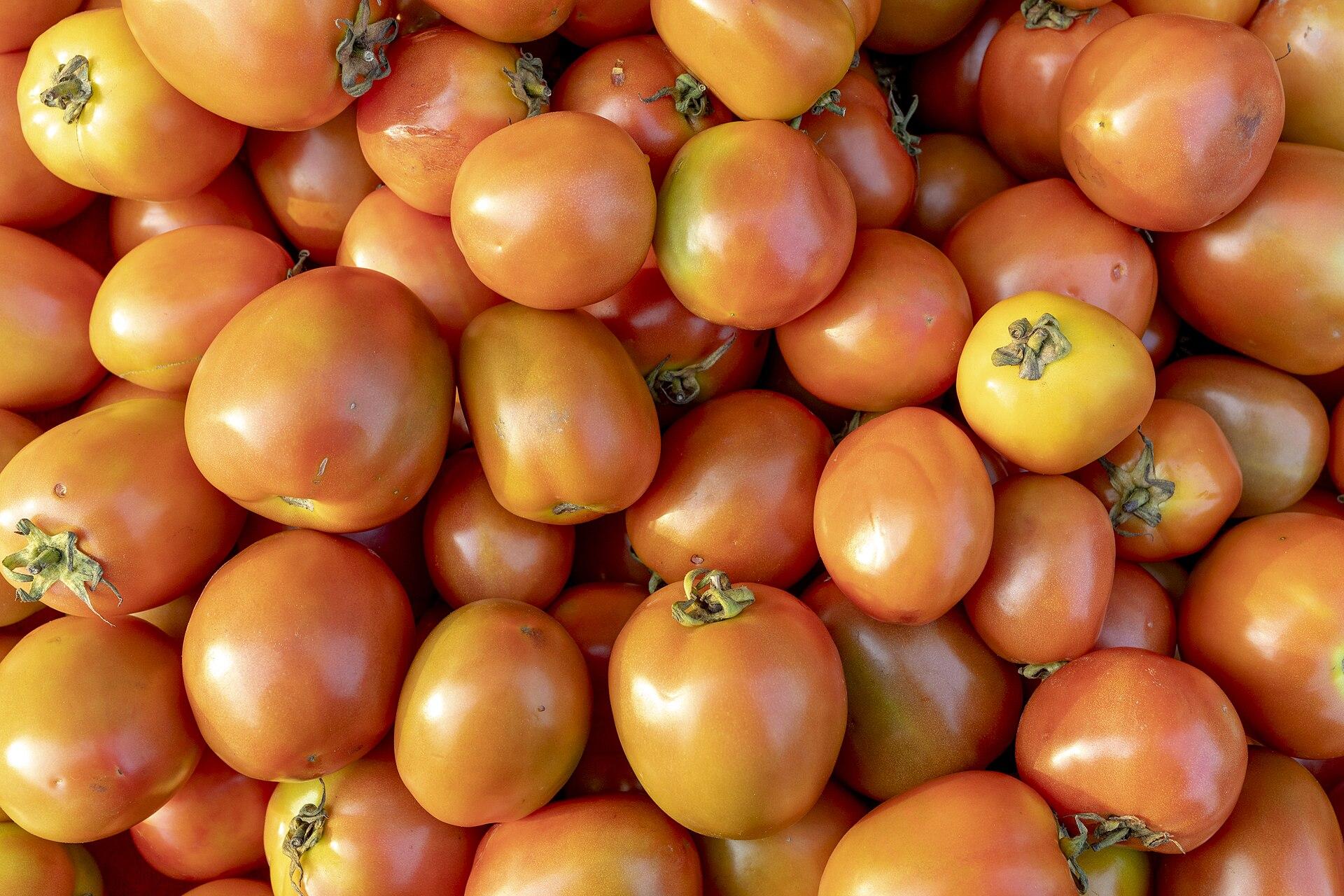 Tomatoes